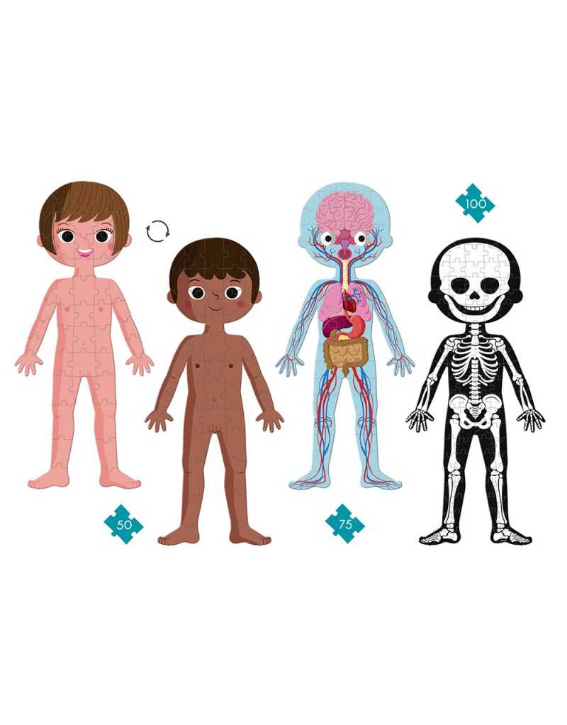 PUZZLE CUERPO HUMANO 50- 75 Y 100 PIEZAS
