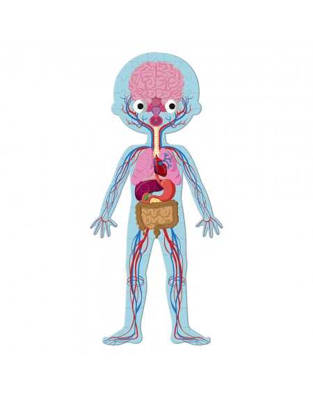 PUZZLE CUERPO HUMANO 50- 75 Y 100 PIEZAS