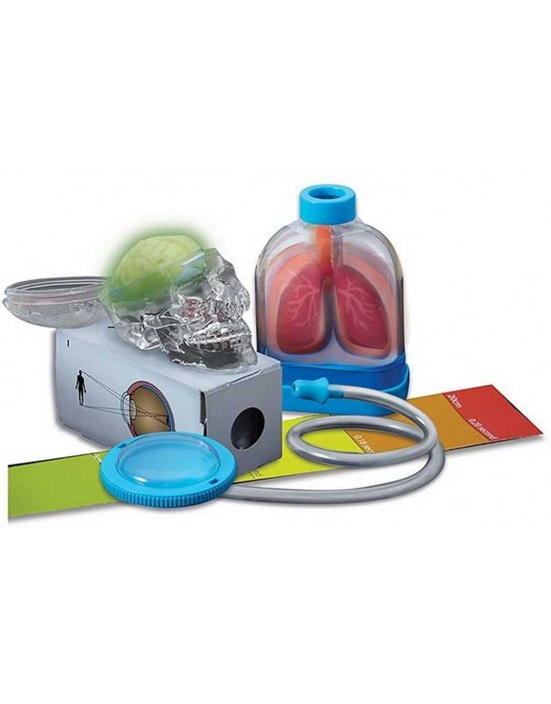 KIDZLABS ÓRGANOS HUMANOS