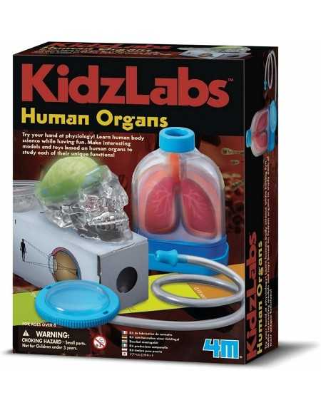 KIDZLABS ÓRGANOS HUMANOS