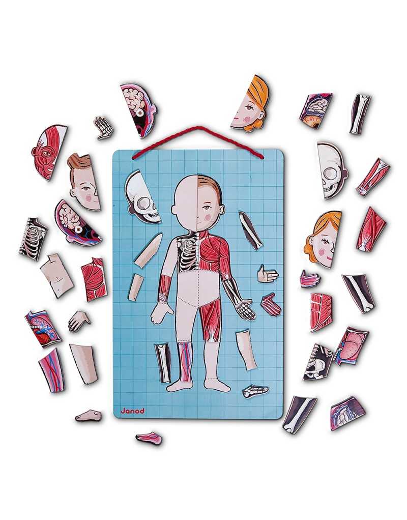 PUZZLE MAGNÉTICO CUERPO HUMANO
