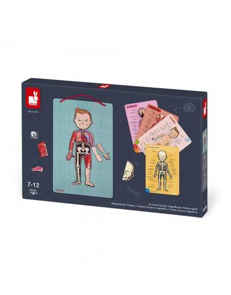 PUZZLE MAGNÉTICO CUERPO HUMANO